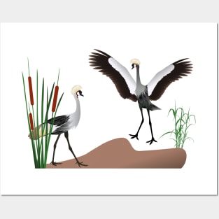 Crowned crane Posters and Art